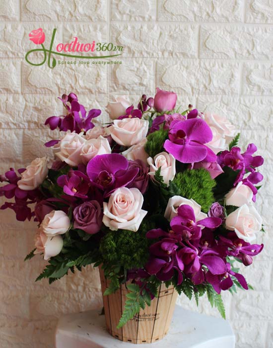Congratulation flowers - Strange